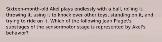 Sixteen-month-old Akel plays endlessly with a ball, rolling it, throwing it, using it to knock over other toys, standing on it, and trying to ride on it. Which of the following Jean Piaget's substages of the sensorimotor stage is represented by Akel's behavior?