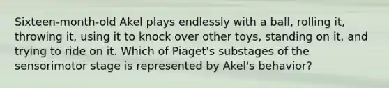 Sixteen-month-old Akel plays endlessly with a ball, rolling it, throwing it, using it to knock over other toys, standing on it, and trying to ride on it. Which of Piaget's substages of the sensorimotor stage is represented by Akel's behavior?