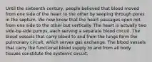 Until the sixteenth century, people believed that blood moved from one side of the heart to the other by seeping through pores in the septum. We now know that the heart passages open not from one side to the other but vertically. The heart is actually two side-by-side pumps, each serving a separate blood circuit. The blood vessels that carry blood to and from the lungs form the pulmonary circuit, which serves gas exchange. The blood vessels that carry the functional blood supply to and from all body tissues constitute the systemic circuit.