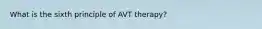 What is the sixth principle of AVT therapy?