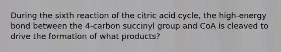 During the sixth reaction of the citric acid cycle, the high-energy bond between the 4-carbon succinyl group and CoA is cleaved to drive the formation of what products?