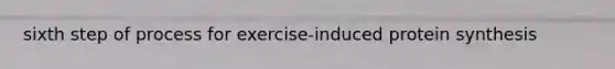 sixth step of process for exercise-induced protein synthesis