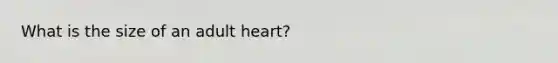 What is the size of an adult heart?