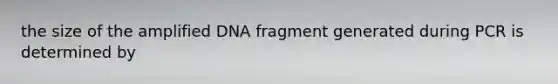 the size of the amplified DNA fragment generated during PCR is determined by