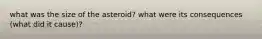 what was the size of the asteroid? what were its consequences (what did it cause)?