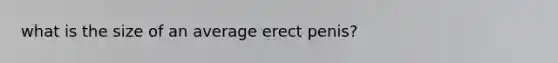 what is the size of an average erect penis?