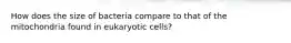 How does the size of bacteria compare to that of the mitochondria found in eukaryotic cells?