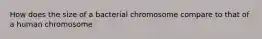 How does the size of a bacterial chromosome compare to that of a human chromosome