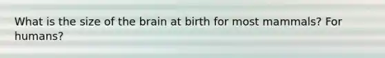 What is the size of the brain at birth for most mammals? For humans?