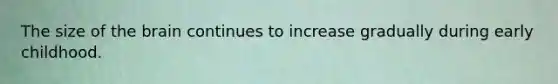 The size of the brain continues to increase gradually during early childhood.