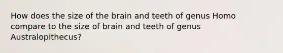 How does the size of the brain and teeth of genus Homo compare to the size of brain and teeth of genus Australopithecus?