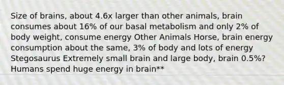 Size of brains, about 4.6x larger than other animals, brain consumes about 16% of our basal metabolism and only 2% of body weight, consume energy Other Animals Horse, brain energy consumption about the same, 3% of body and lots of energy Stegosaurus Extremely small brain and large body, brain 0.5%? Humans spend huge energy in brain**