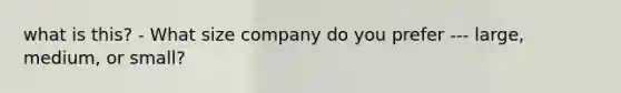 what is this? - What size company do you prefer --- large, medium, or small?