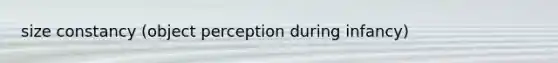 size constancy (object perception during infancy)
