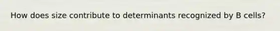 How does size contribute to determinants recognized by B cells?