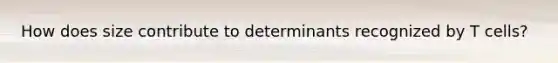 How does size contribute to determinants recognized by T cells?