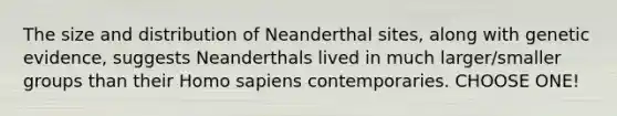 The size and distribution of Neanderthal sites, along with genetic evidence, suggests Neanderthals lived in much larger/smaller groups than their Homo sapiens contemporaries. CHOOSE ONE!