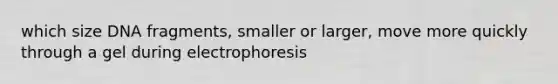 which size DNA fragments, smaller or larger, move more quickly through a gel during electrophoresis