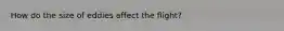 How do the size of eddies affect the flight?