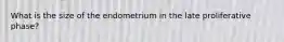 What is the size of the endometrium in the late proliferative phase?