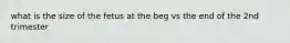 what is the size of the fetus at the beg vs the end of the 2nd trimester