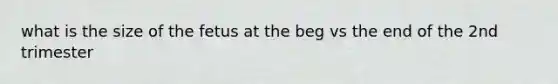 what is the size of the fetus at the beg vs the end of the 2nd trimester