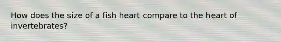 How does the size of a fish heart compare to the heart of invertebrates?