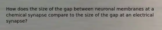 How does the size of the gap between neuronal membranes at a chemical synapse compare to the size of the gap at an electrical synapse?