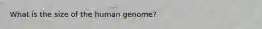 What is the size of the human genome?