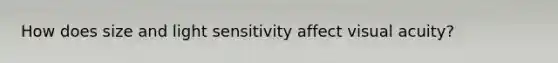 How does size and light sensitivity affect visual acuity?