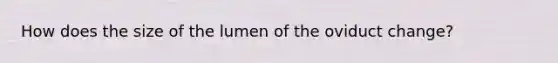 How does the size of the lumen of the oviduct change?