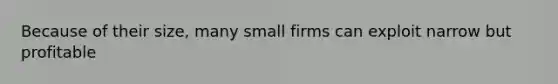 Because of their size, many small firms can exploit narrow but profitable