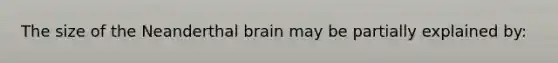 The size of the Neanderthal brain may be partially explained by: