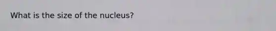 What is the size of the nucleus?