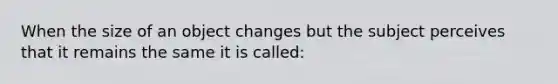 When the size of an object changes but the subject perceives that it remains the same it is called: