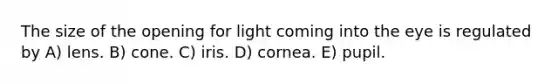 The size of the opening for light coming into the eye is regulated by A) lens. B) cone. C) iris. D) cornea. E) pupil.