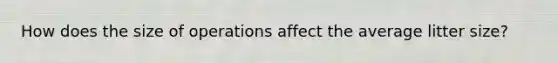 How does the size of operations affect the average litter size?