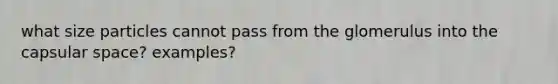 what size particles cannot pass from the glomerulus into the capsular space? examples?