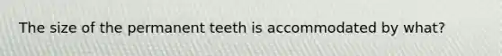 The size of the permanent teeth is accommodated by what?