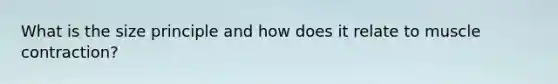 What is the size principle and how does it relate to muscle contraction?