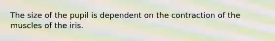 The size of the pupil is dependent on the contraction of the muscles of the iris.