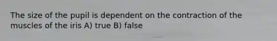 The size of the pupil is dependent on the contraction of the muscles of the iris A) true B) false