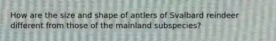 How are the size and shape of antlers of Svalbard reindeer different from those of the mainland subspecies?