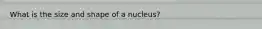 What is the size and shape of a nucleus?