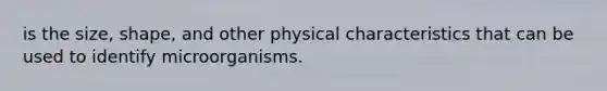 is the size, shape, and other physical characteristics that can be used to identify microorganisms.