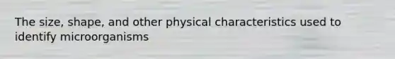 The size, shape, and other physical characteristics used to identify microorganisms