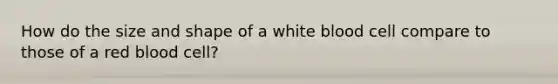 How do the size and shape of a white blood cell compare to those of a red blood cell?