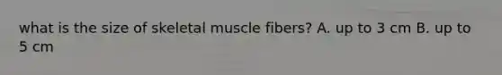 what is the size of skeletal muscle fibers? A. up to 3 cm B. up to 5 cm