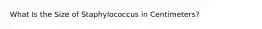 What Is the Size of Staphylococcus in Centimeters?