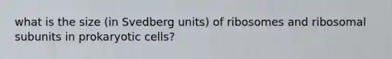 what is the size (in Svedberg units) of ribosomes and ribosomal subunits in prokaryotic cells?